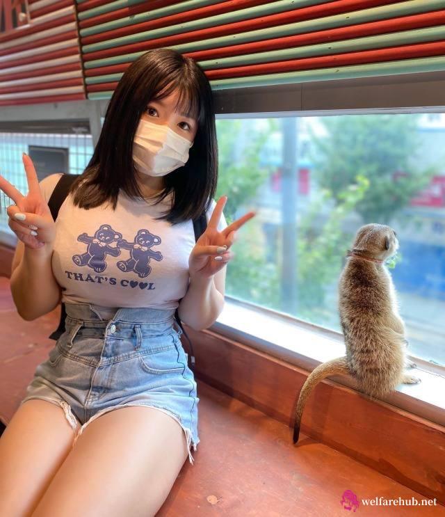 摩托车obd接口！如何变更营业执照地址